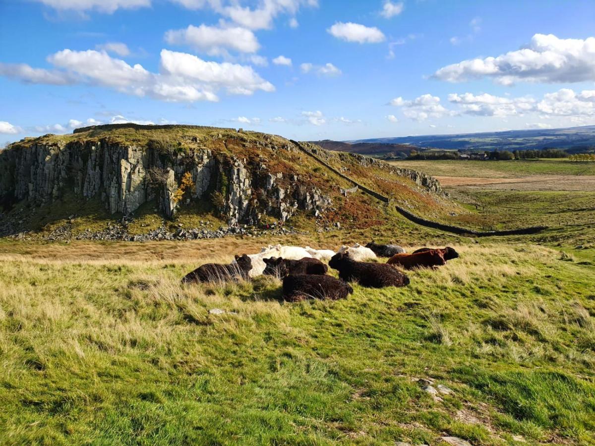 Moonflower Lodge Newton on the Moor Экстерьер фото
